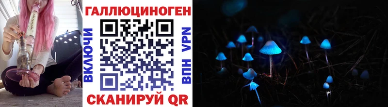 Псилоцибиновые грибы Psilocybine cubensis  Купить где  Кологрив 